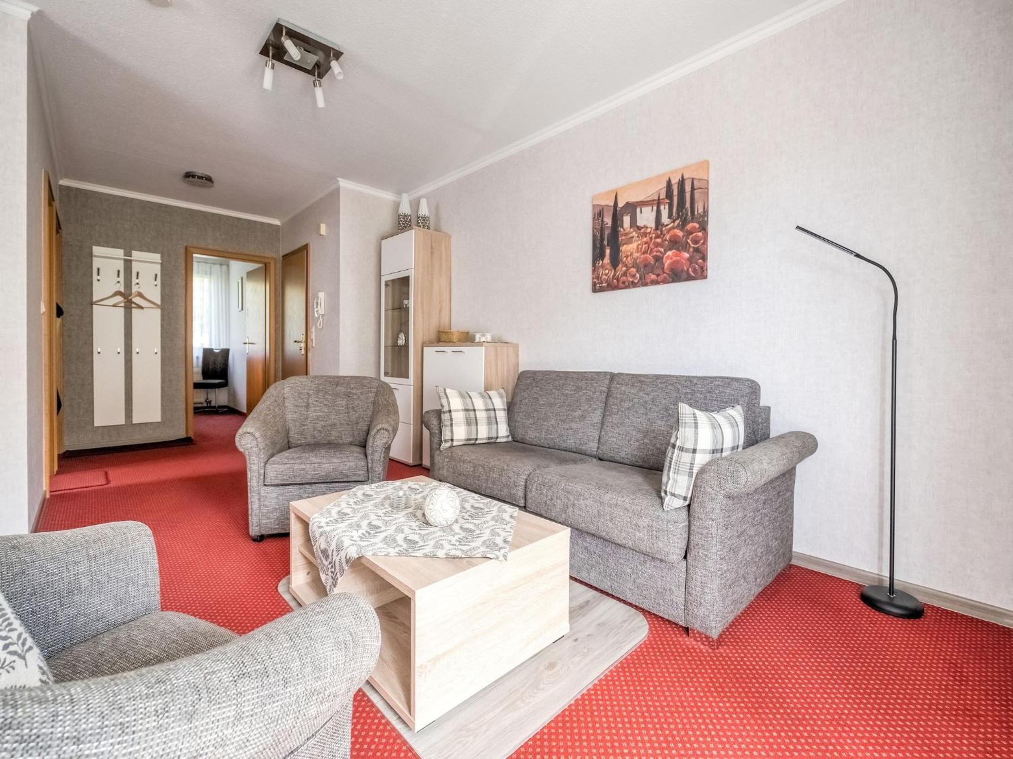 Modern Apartment In Schwalefeld With Garden Willingen  Εξωτερικό φωτογραφία