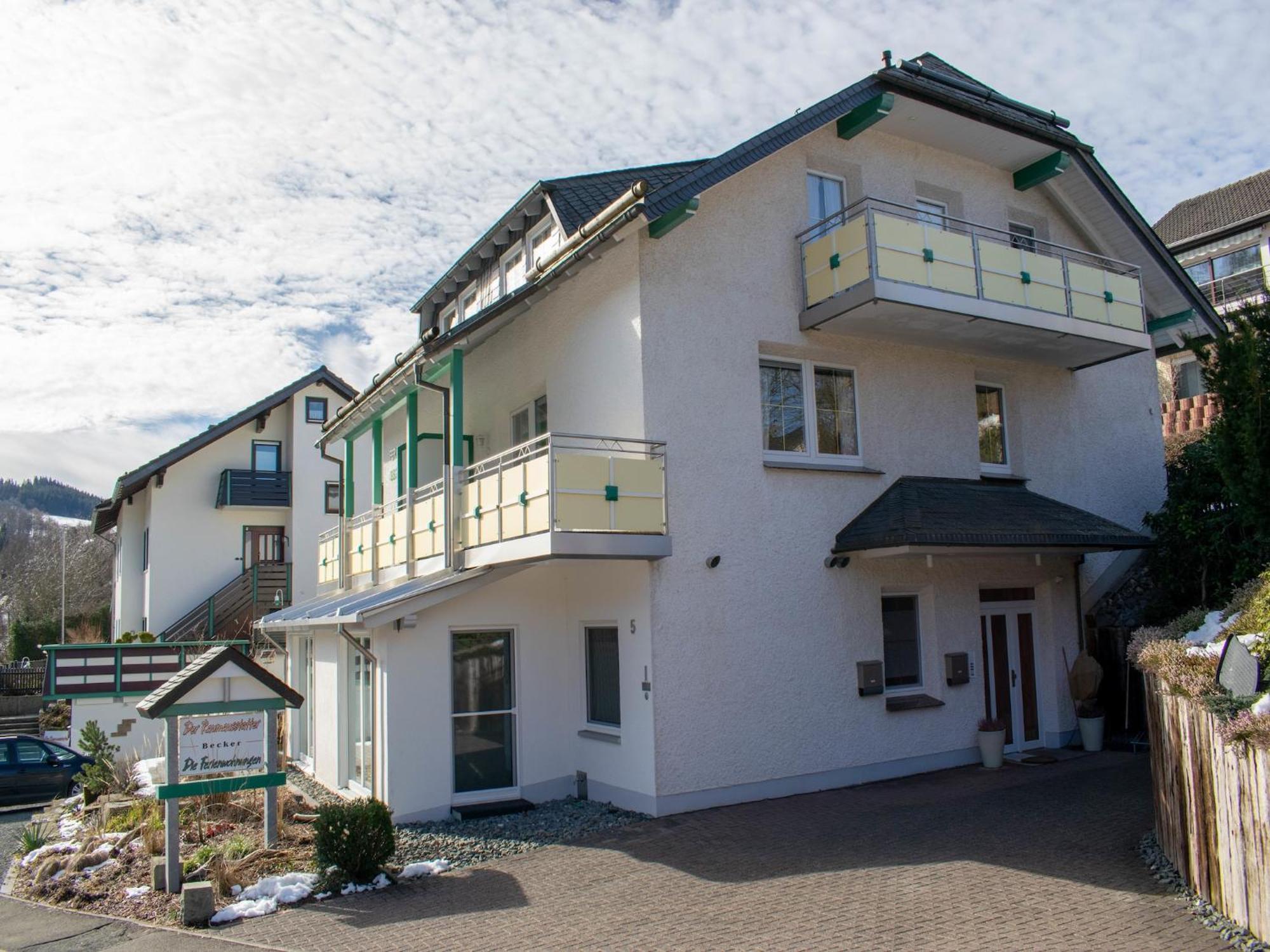 Modern Apartment In Schwalefeld With Garden Willingen  Εξωτερικό φωτογραφία