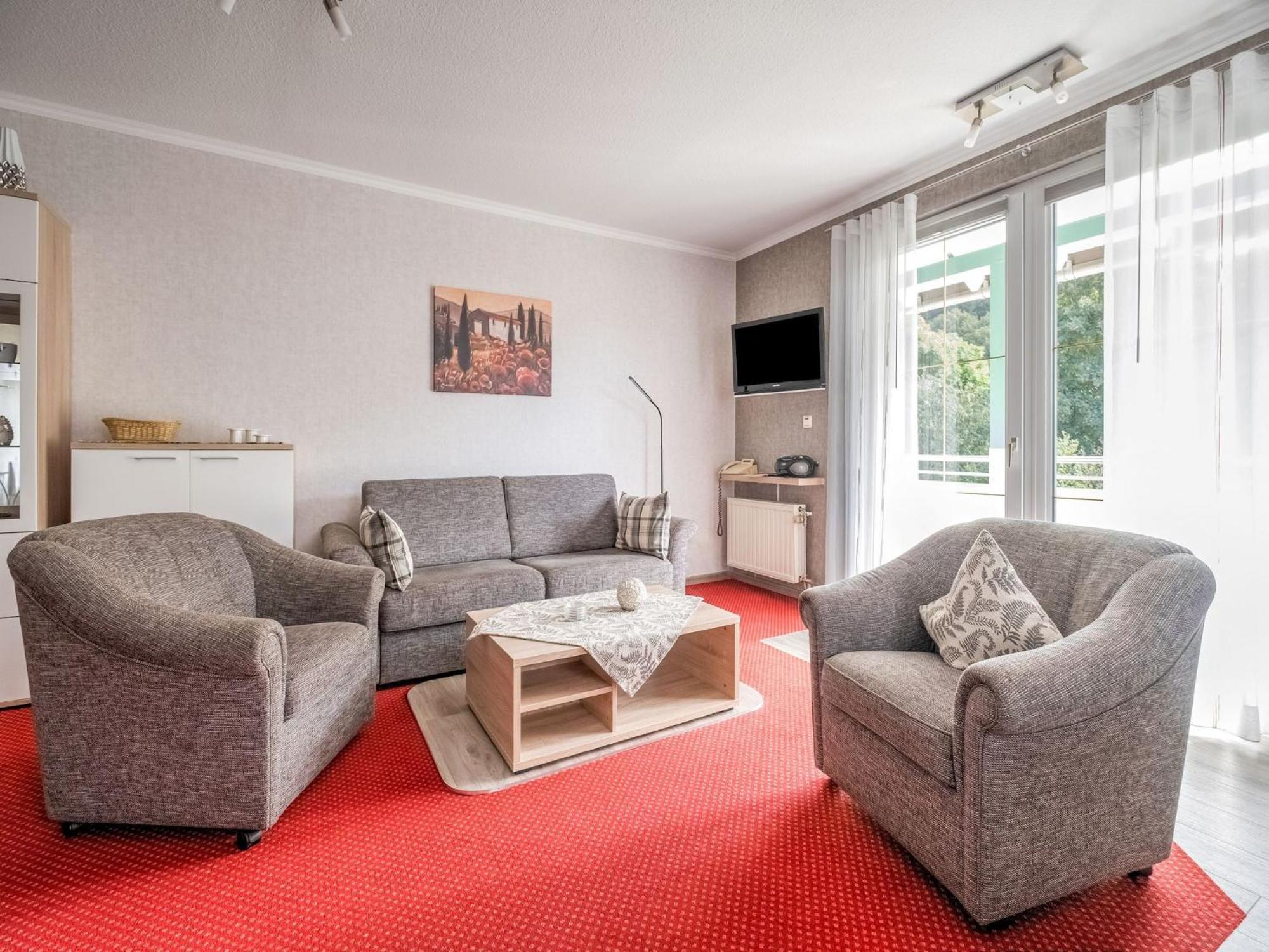 Modern Apartment In Schwalefeld With Garden Willingen  Εξωτερικό φωτογραφία