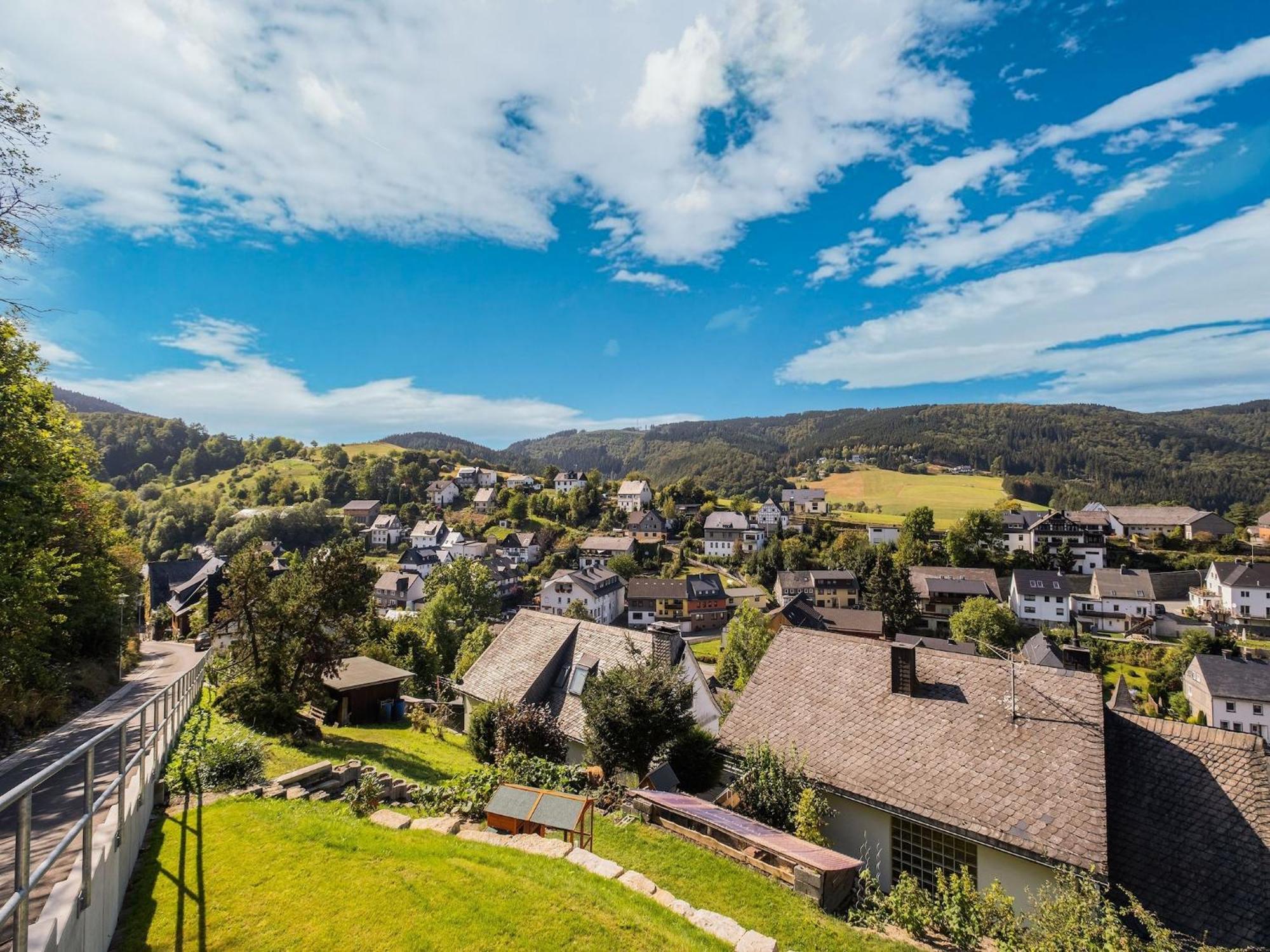 Modern Apartment In Schwalefeld With Garden Willingen  Εξωτερικό φωτογραφία