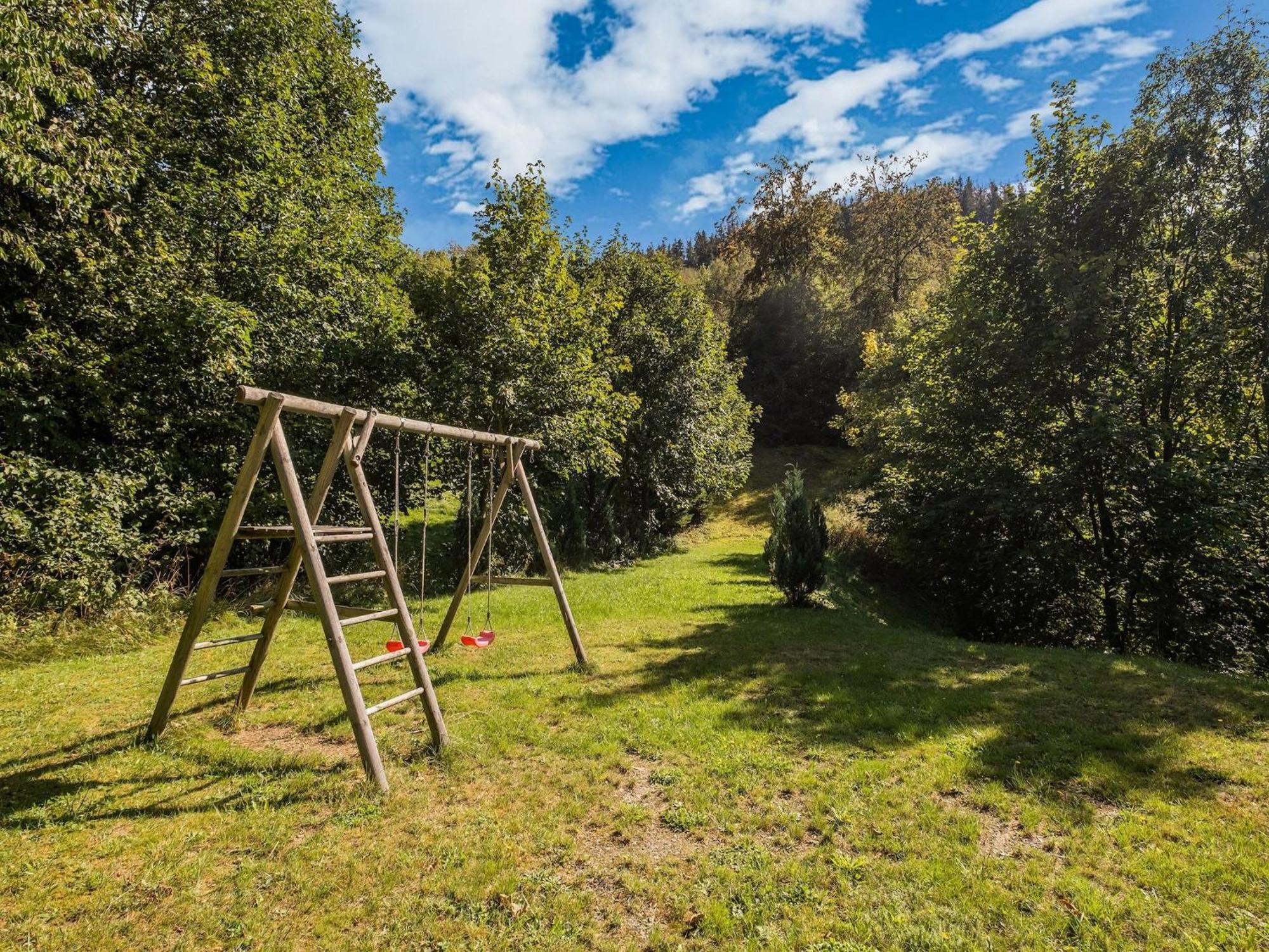Modern Apartment In Schwalefeld With Garden Willingen  Εξωτερικό φωτογραφία